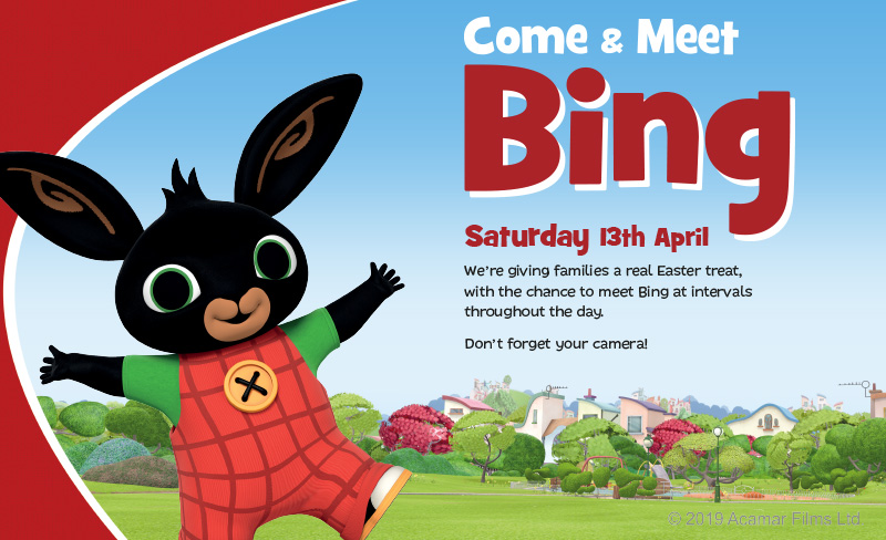 Come and meet Bing!