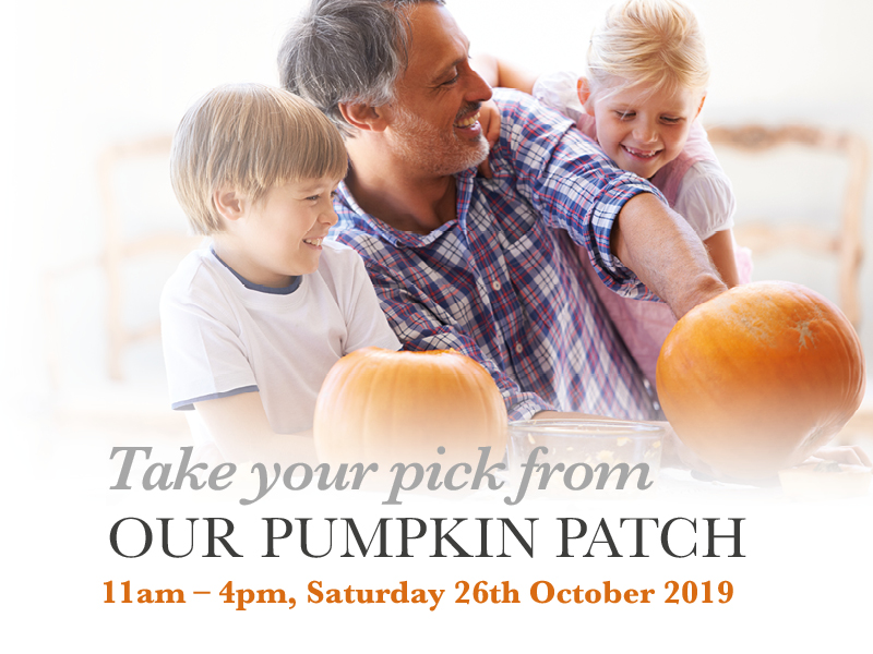 Take your pick from our pumpkin patch